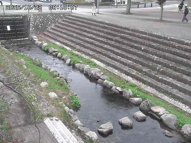 山白川１2025/10/22 11:20