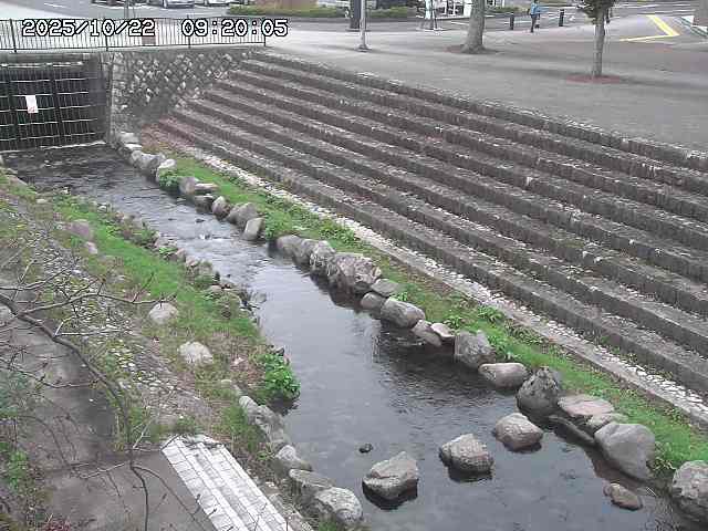 山白川１2025/10/22 11:20