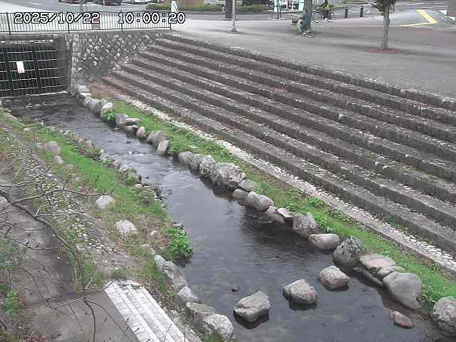 山白川１2025/10/22 11:20