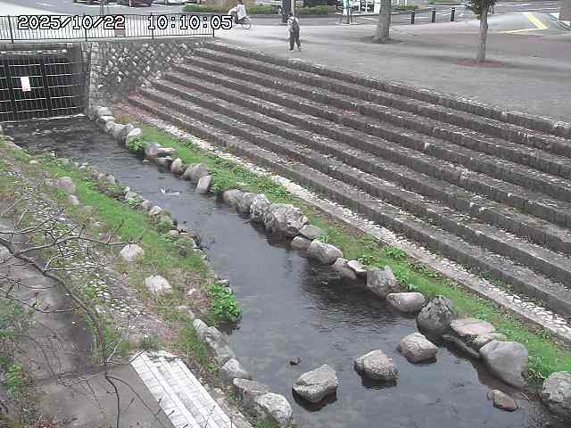 山白川１2025/10/22 11:20