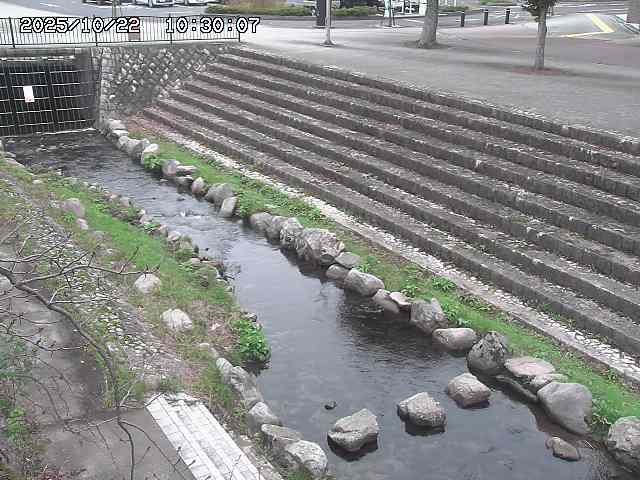 山白川１2025/10/22 11:20