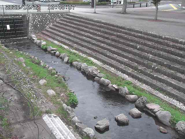 山白川１2025/10/22 11:20