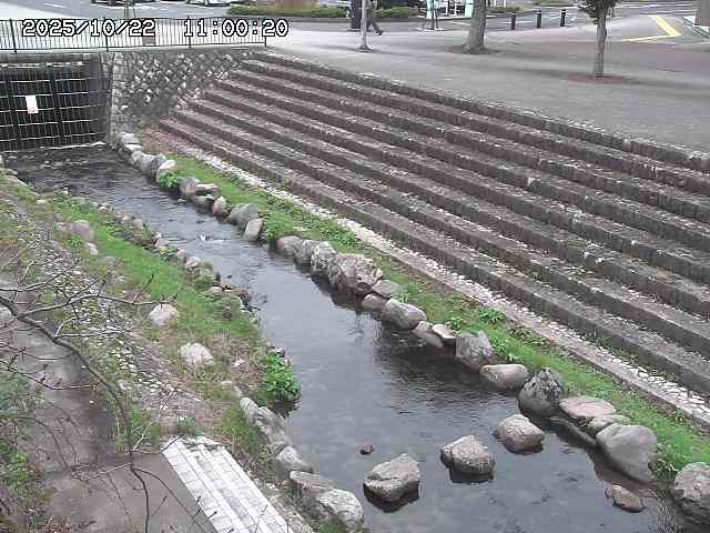 山白川１2025/10/22 11:20