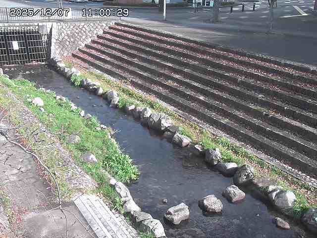 山白川１2025/12/08 11:20