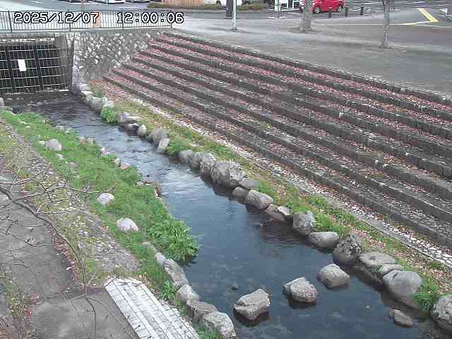 山白川１2025/12/08 11:20