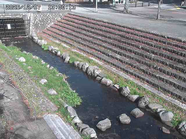 山白川１2025/12/08 11:20