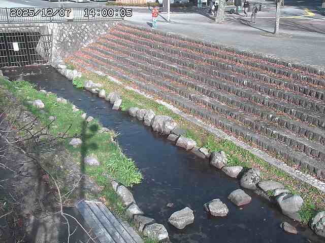 山白川１2025/12/08 11:20