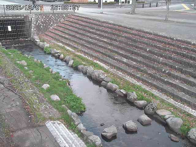 山白川１2025/12/08 11:20