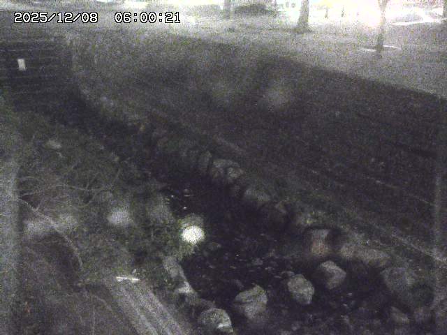 山白川１2025/12/08 11:20