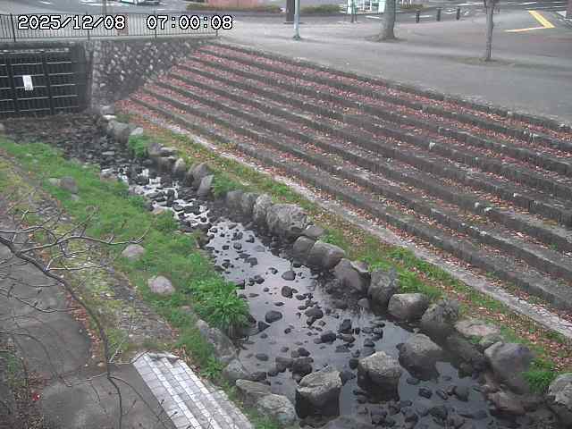 山白川１2025/12/08 11:20