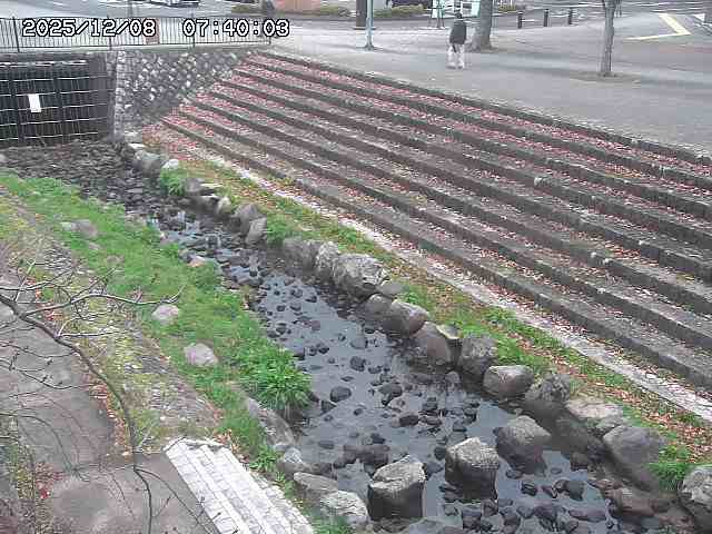 山白川１2025/12/08 11:20