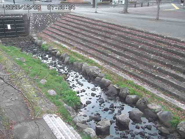 山白川１2025/12/08 11:20