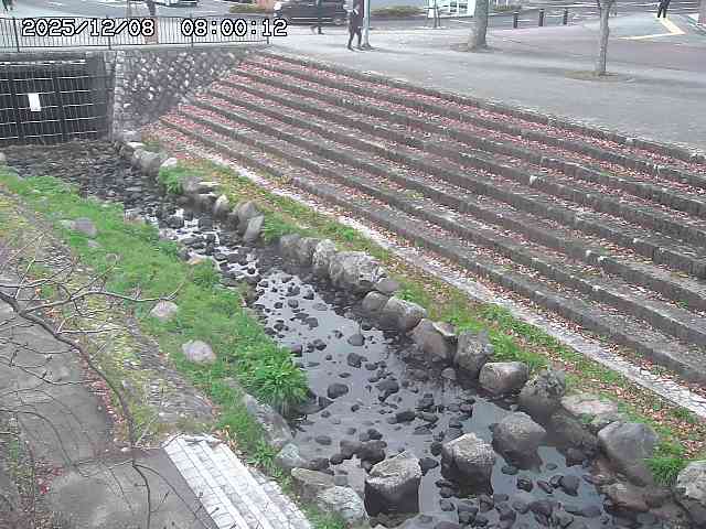 山白川１2025/12/08 11:20