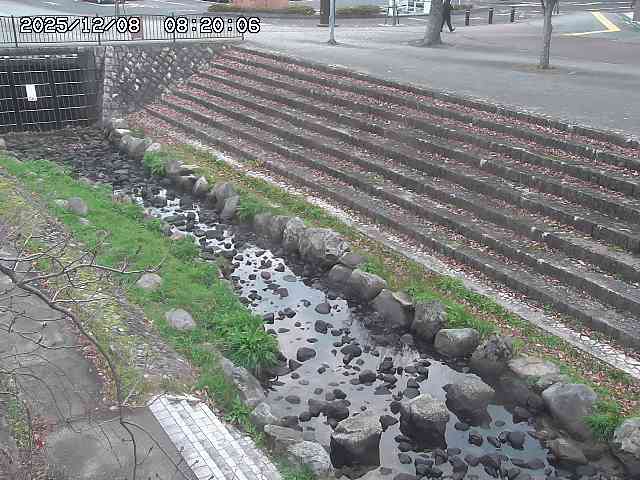 山白川１2025/12/08 11:20