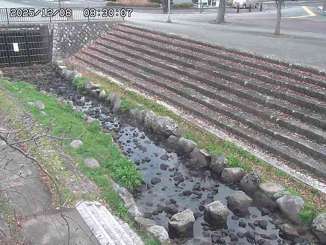 山白川１2025/12/08 11:20