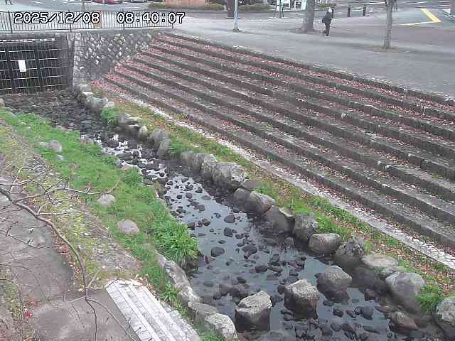 山白川１2025/12/08 11:20