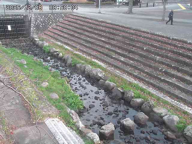 山白川１2025/12/08 11:20