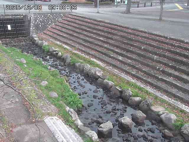 山白川１2025/12/08 11:20