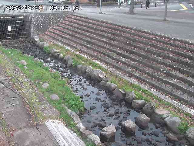 山白川１2025/12/08 11:20