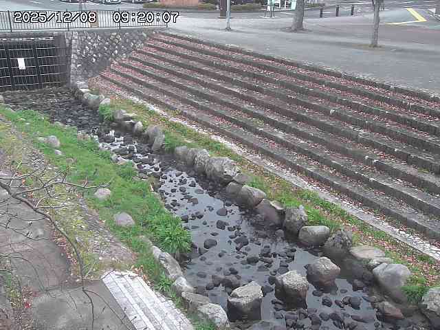 山白川１2025/12/08 11:20