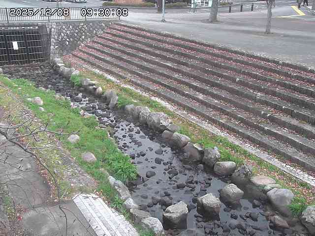 山白川１2025/12/08 11:20