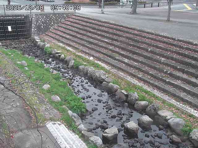 山白川１2025/12/08 11:20