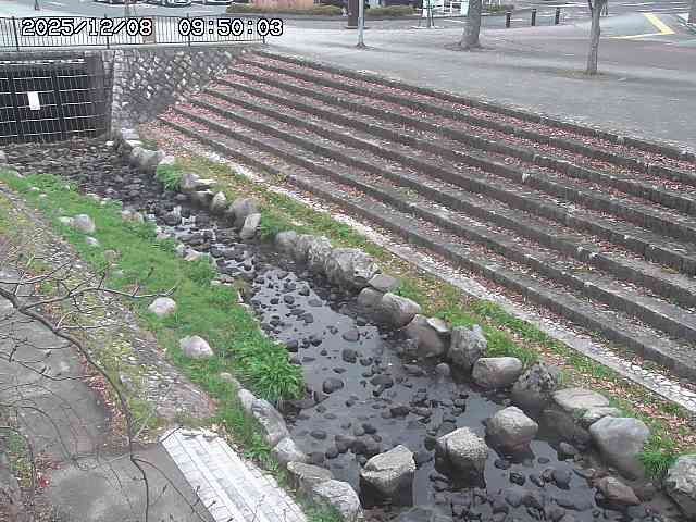 山白川１2025/12/08 11:20