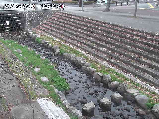 山白川１2025/12/08 11:20