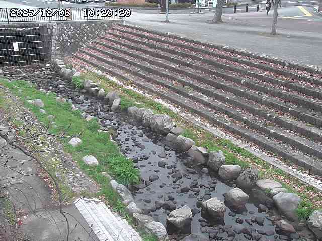 山白川１2025/12/08 11:20