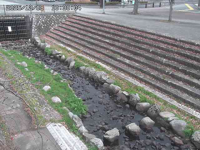 山白川１2025/12/08 11:20