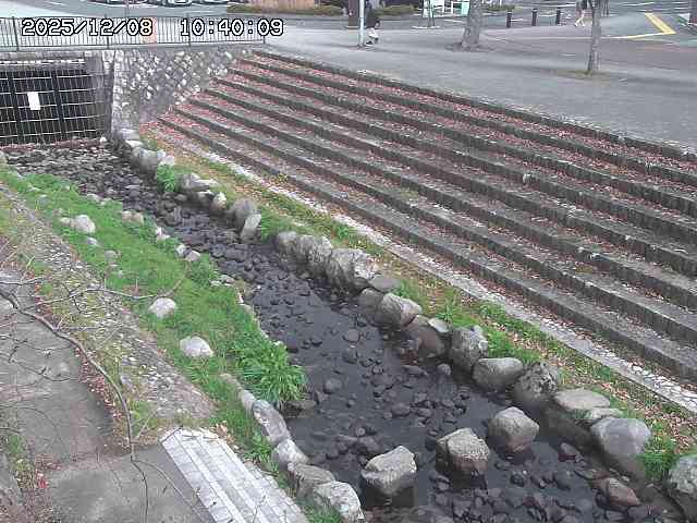 山白川１2025/12/08 11:20