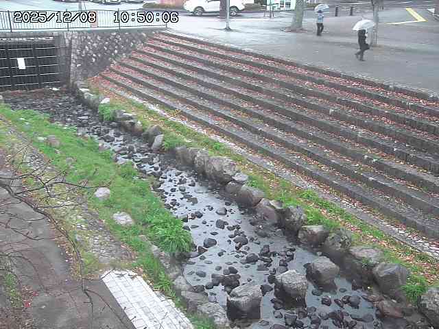 山白川１2025/12/08 11:20