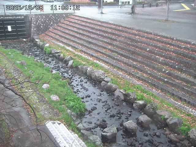 山白川１2025/12/08 11:20