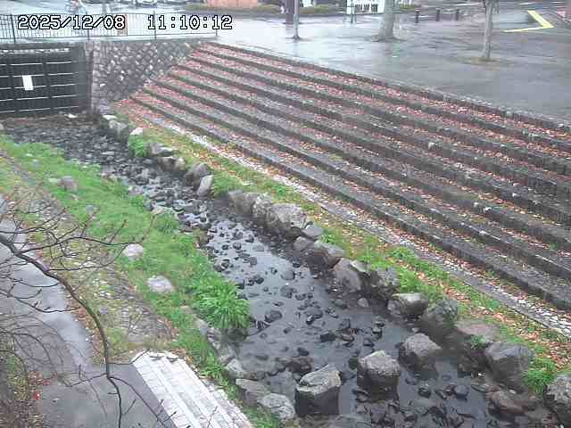 山白川１2025/12/08 11:20