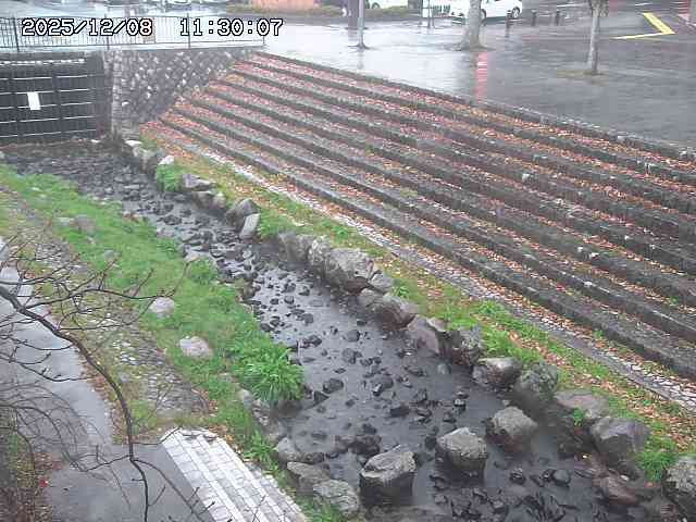 山白川１2025/12/08 11:20