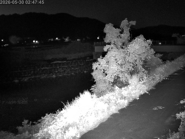 八東川４2026/05/30 03:20