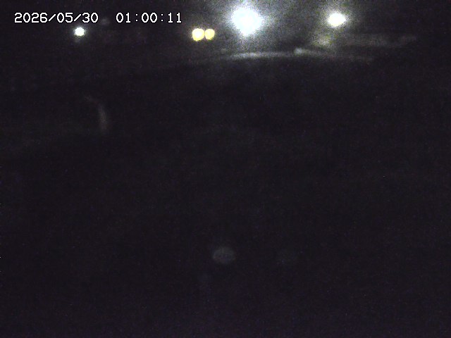 私都川１2026/05/30 03:20