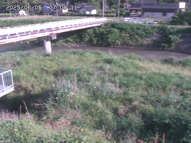 私都川１2025/06/06 01:00