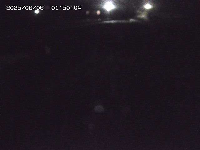 私都川１2025/06/06 01:50