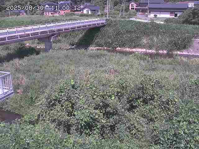 私都川１2025/08/31 00:50
