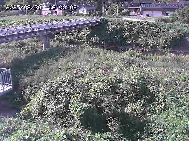 私都川１2025/08/31 00:50