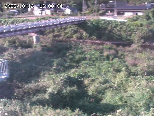 私都川１2026/10/13 14:40