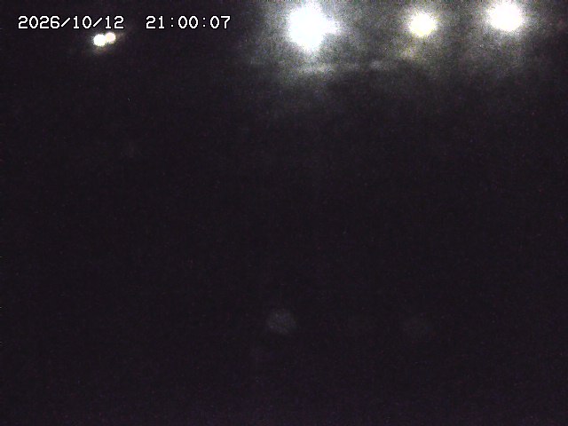 私都川１2026/10/13 14:40