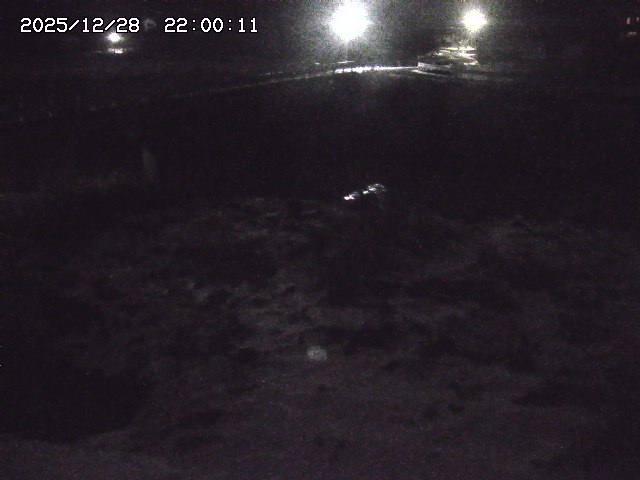 私都川１2025/12/29 09:40