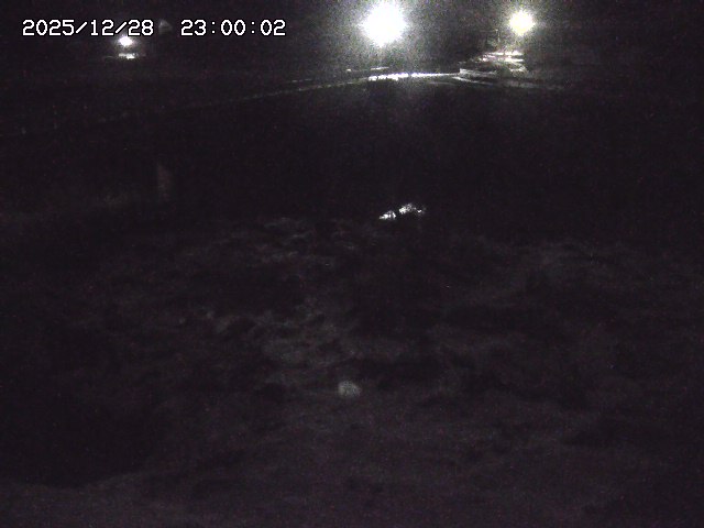 私都川１2025/12/29 09:40