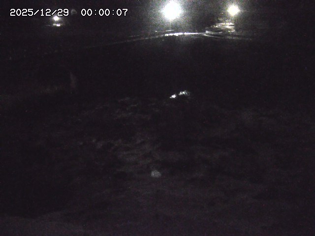 私都川１2025/12/29 09:40