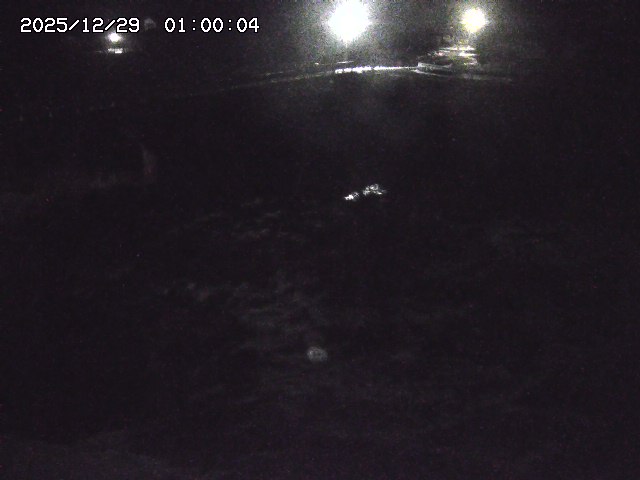 私都川１2025/12/29 09:40