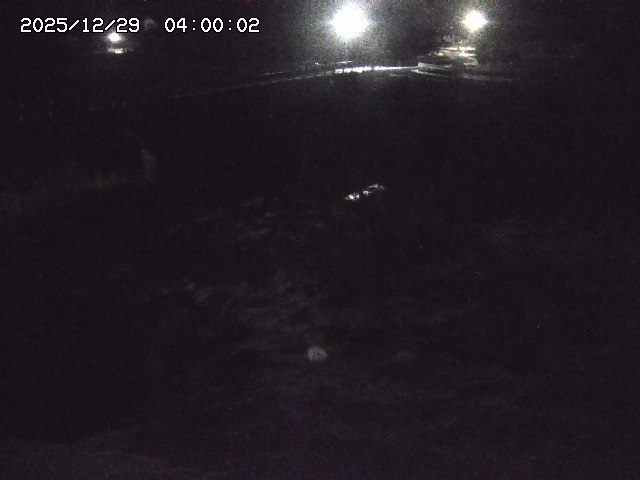 私都川１2025/12/29 09:40