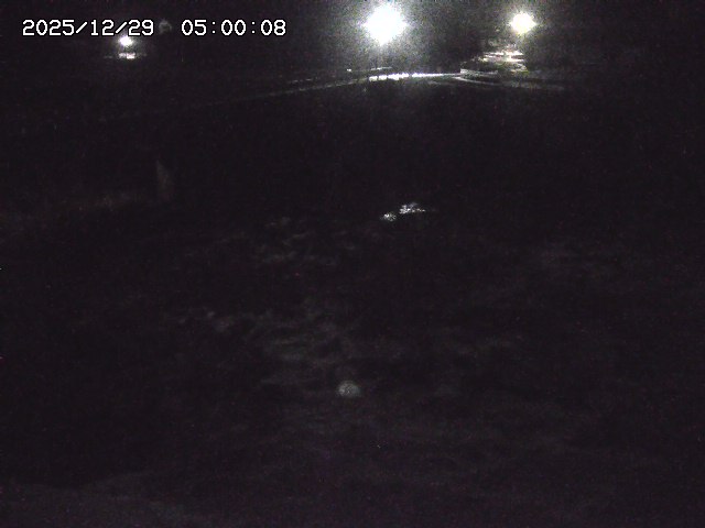 私都川１2025/12/29 09:40