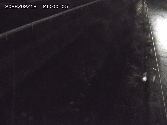 北田川１2026/02/17 18:10